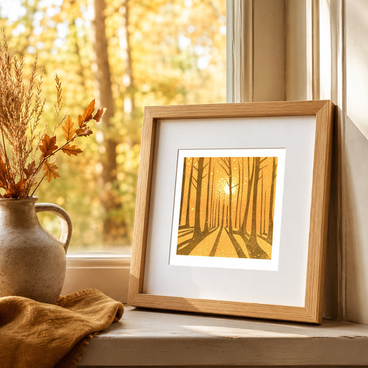 'Into the Woodlands Series'