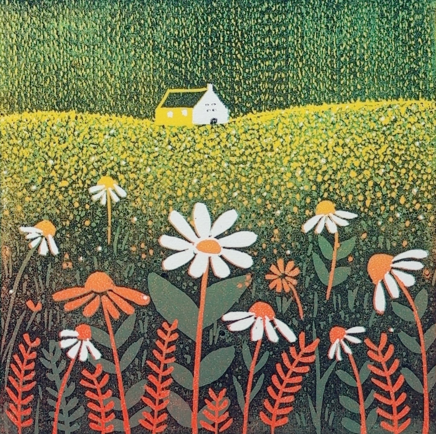 Fields of Colours - original limited edition mini linocut print by Layla Khani, midsummer wildflower landscape with daisies and cottage, Laylart Studio